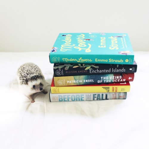 atticusthehedgie:  Slowly building up my book collection.