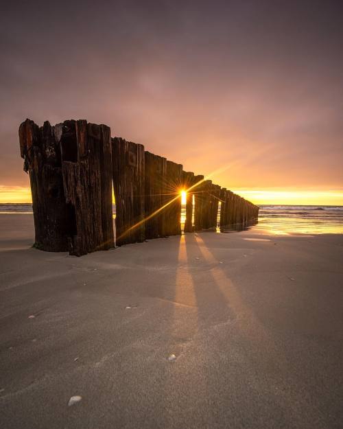 pangeen:Sunrise on Port Fairy’s east beach, Port Fairy, Victoria by Craig Richards