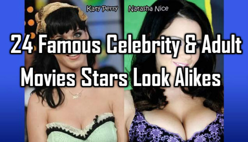 sexystory859:  24 Famous Celebrity & Adult Movies Stars Look Alikes 