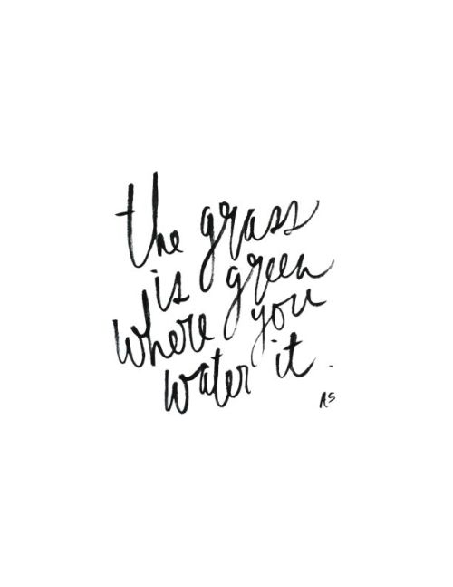 Via Anelise Salvo Design Co. *Inspired
