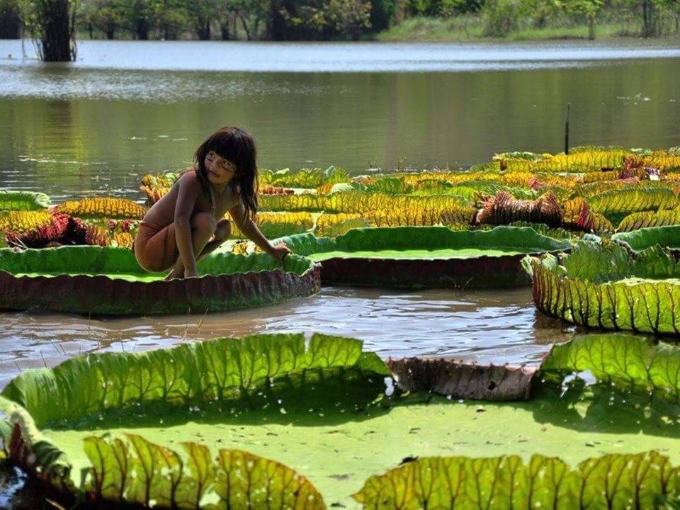 artandspirituality:  Nature is art. Protect her. Nourish her. Set your bare feet