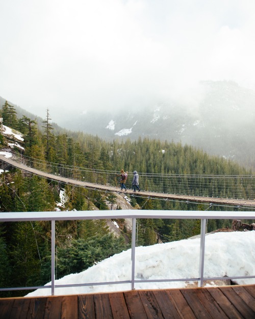 Hanging out above the trees.