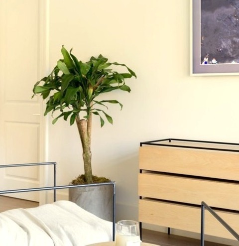 Bedroom Master In Los AngelesRemodel Ideas For A Medium-sized Coastal Master Bedroom With White Walls,