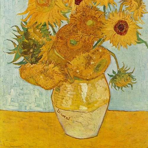 plantskid: how lovely yellow is. it stands for the sun. (vincent van gogh)