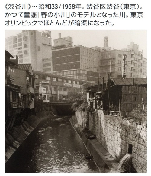 y-kasa:BONさんのツイート: “《渋谷川》…昭和33/1958年。渋谷区渋谷（東京）。かつて童謡「春の小川」のモデルとなった川。東京オリンピックでほとんどが暗渠になっ