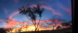 redwavelove:Arizona Sunsets