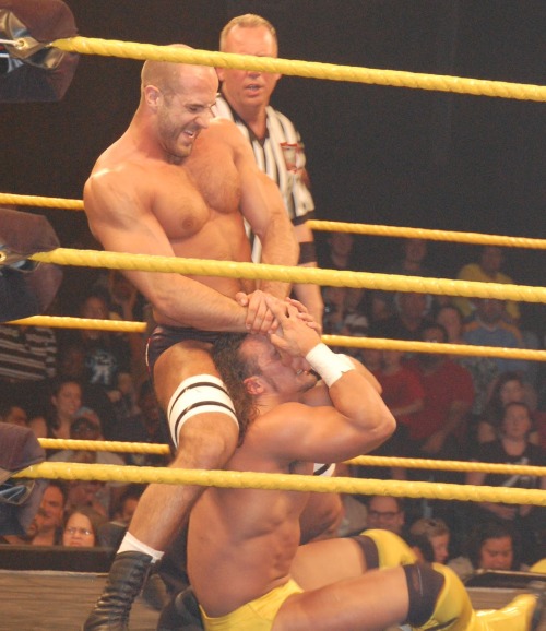 XXX rwfan11:  Antonio Cesaro  photo