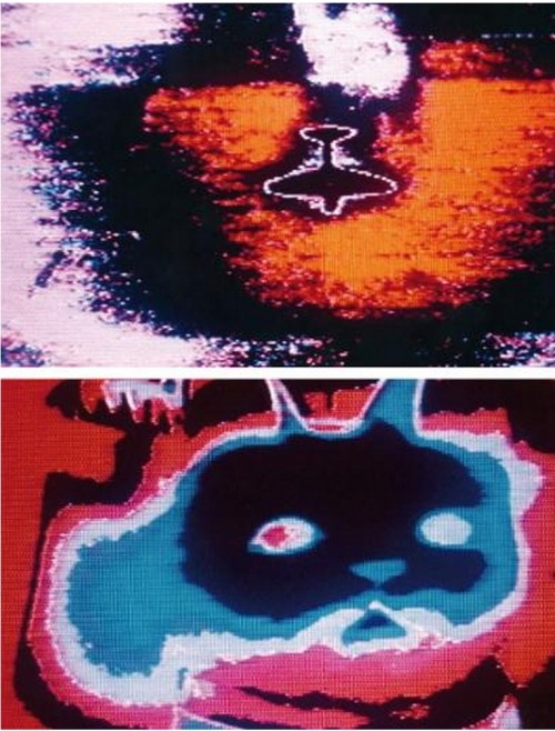 omgcatrevolution:Chris Marker, Sans Soleil (1982)In the zone…