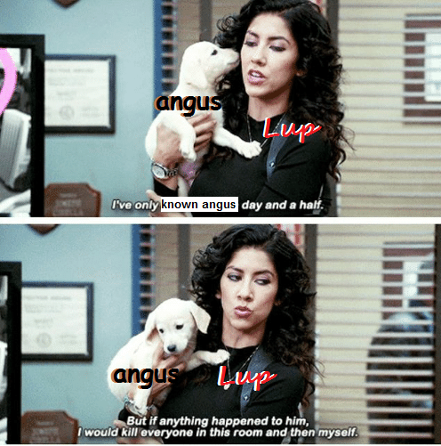 bbg100: is this not mood though 