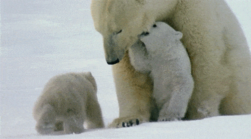 phototoartguy:  “Family in the Snow!” 