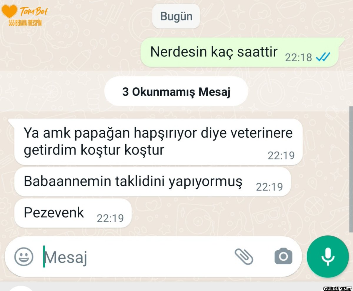 GSLDJFŞCJŞACJŞSJD  Tam Bet...