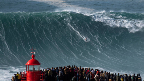 entertainmentnerdly: “Waves in Nazare, on Portugal’s Atlantic coast, can reach up to 30 metres [98.4