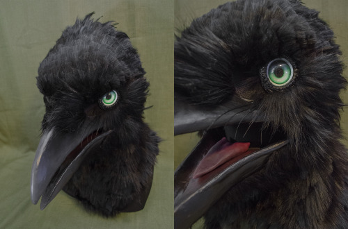 A pair of commissioned crow masks! Green belongs to @beakybirds on twitter, brown belongs to @paleo_