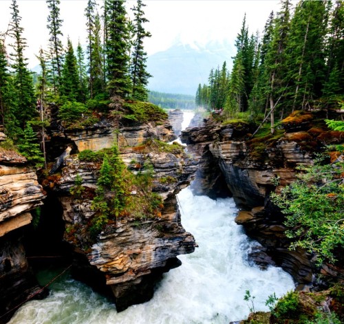 Johnston Canyon, Alberta, Canada