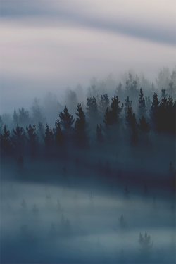 wearevanity: Shades of Fog © 