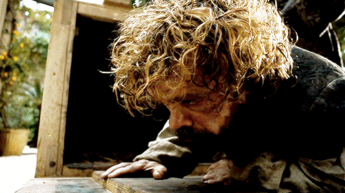 gameofthronesdaily:  Tyrion Lannister | Game of Thrones Season 5. {x}