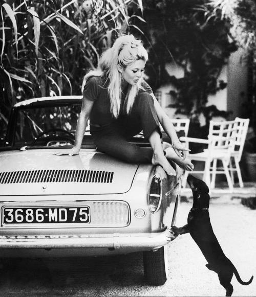 brigitte bardot