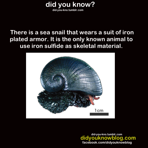 did-you-kno:  Source