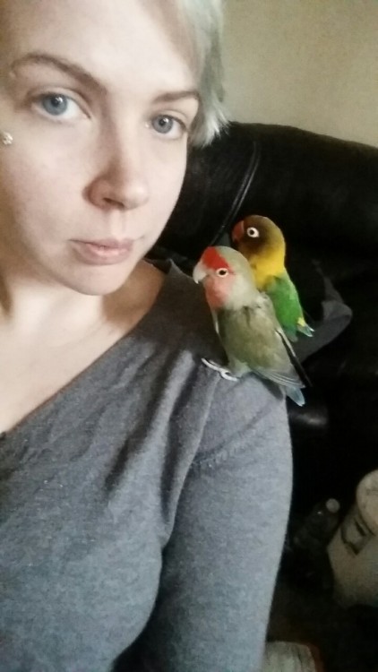 Birb selfies