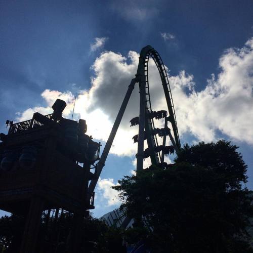 #china #chimelong #aquarium #park #rollercoaster #tree #shadow #sun #pretty #fun #summer #vacation (