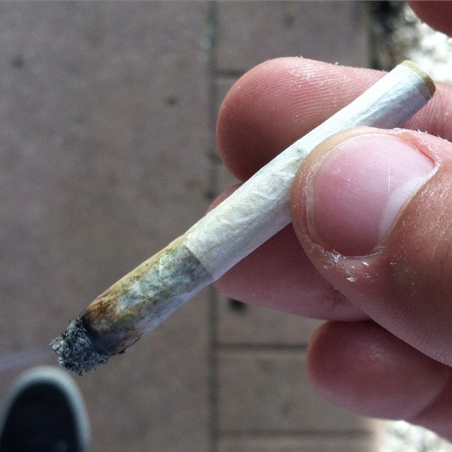 weedporndaily:  Double filtered for smoother smoke #weedporndaily #stayregular #superstoners