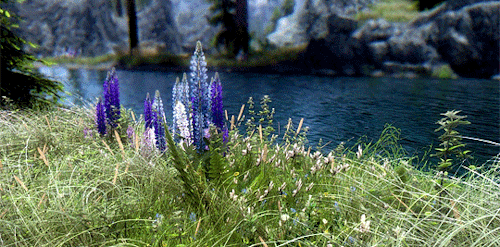 fairyberries:trying to acquire the arcane knowledge of gif making