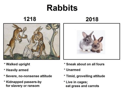 catchymemes:Wtf Happened?