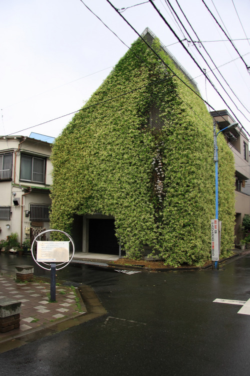 ethertune: Green House (By Naoya Fujii)