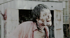shadesofdixon:  TWD Meme: [2/3] Walker Kills → Michonne [Say The Word]