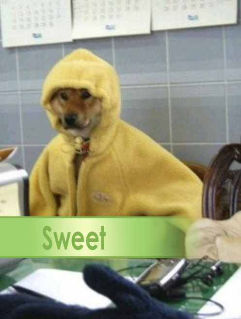 dr–wizard:  dairyphairy:  sshibe:        Tag yourselves I’m savory 