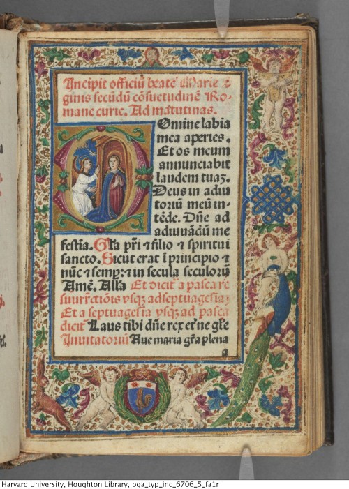 houghtonlib:Catholic Church. Incipit officiu[m] beate Marie v[ir]ginis secu[n]du[m] co[n]suetudine[m