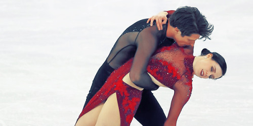 artschoolglasses: Team Canada; Team Figure Skating Tessa Virtue + Scott Moir + Kaetlyn Osmond + Eric