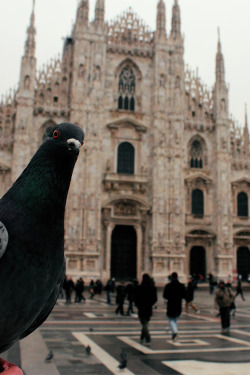 italian-luxury:  Milan Duomo photobombs