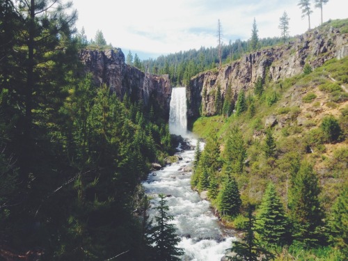 ccllaannccyy:  Oregon is amazing.