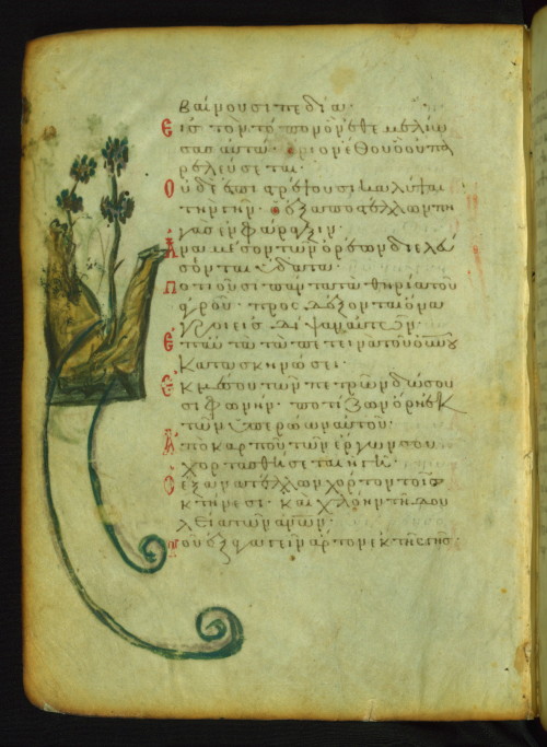 Psalter, Waters Flowing amid the Mountains, Walters Manuscript W.733, fol. 72v
