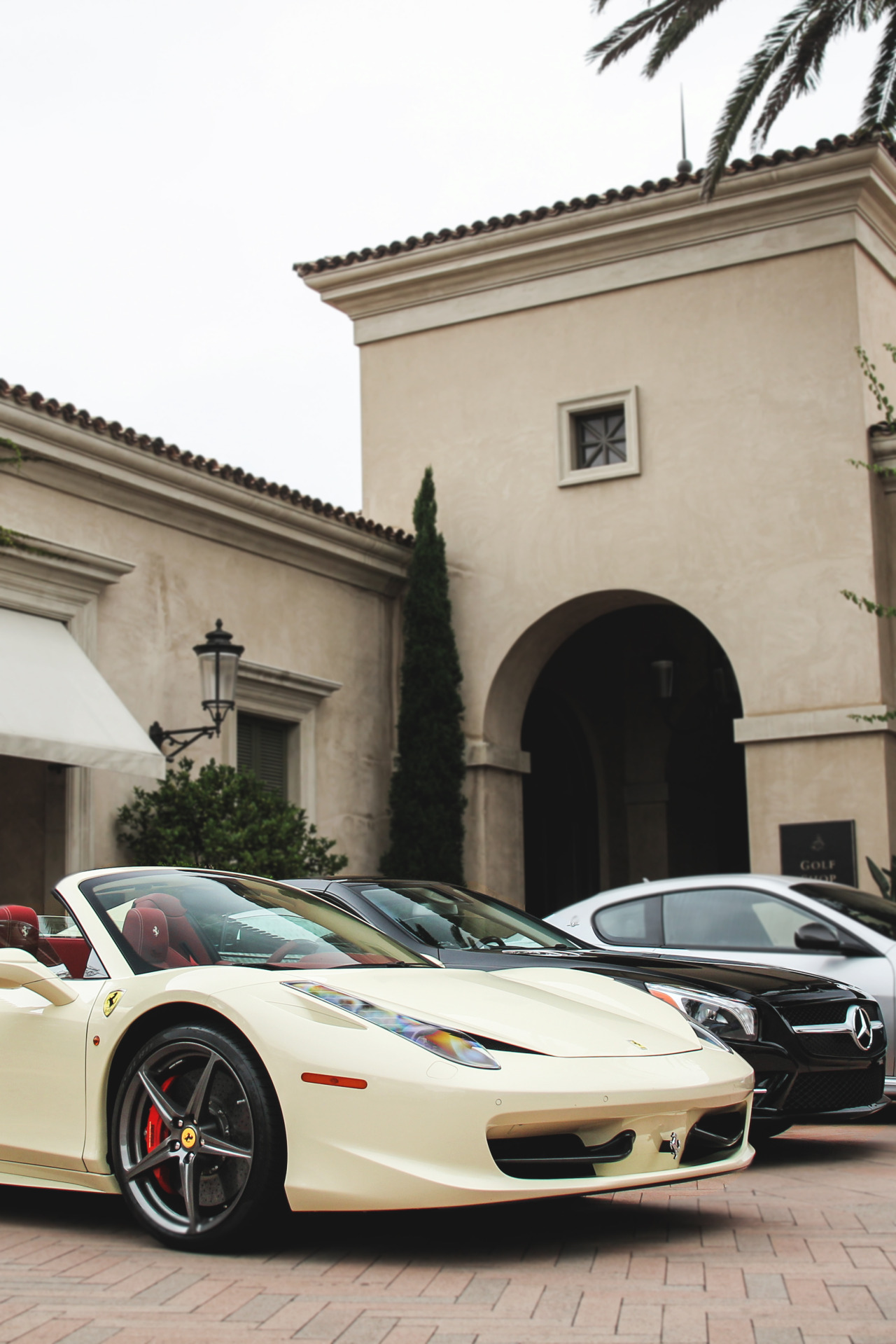 themanliness:  Stallions | Source | MVMT | Facebook
