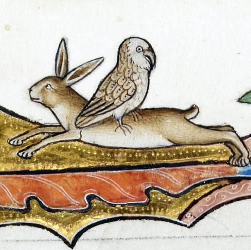 discardingimages:hareriding owl‘Ormesby Psalter’, England ca. 1310Bodleian Library, MS. Douce 366, f