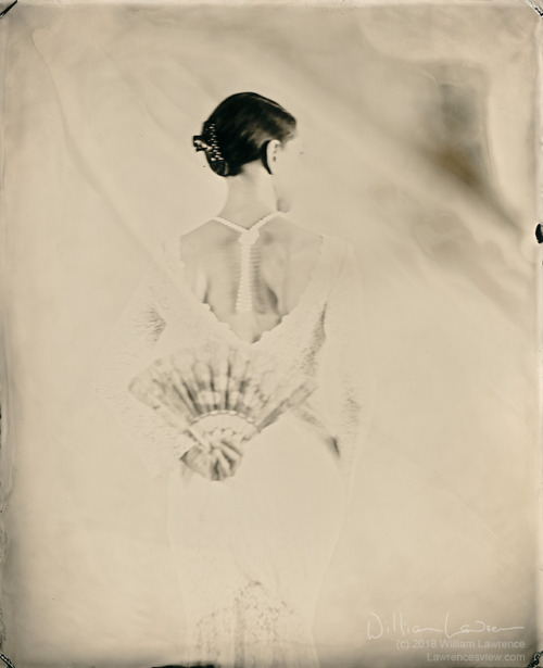 Vox Serene (@vox.serene on Instagram). 8x10 Tintype.  Copyright 2018, William Lawrence.This is 
