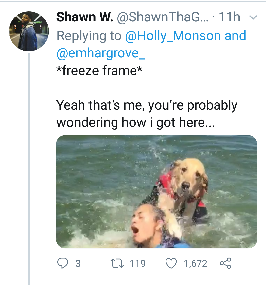 He's still a good doggo