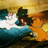 disneyroyalty:The best of Toulouse, Marie and Berlioz↳ Part 2/?