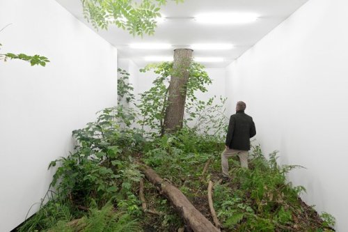 contemporary-art-blog:Fabian Knecht, isolation, transforms landscape into a figural great indoors. 