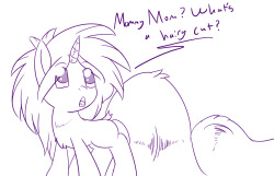 taboopony:  Shy: where did you learn such