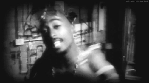RAP NA PAUTA !