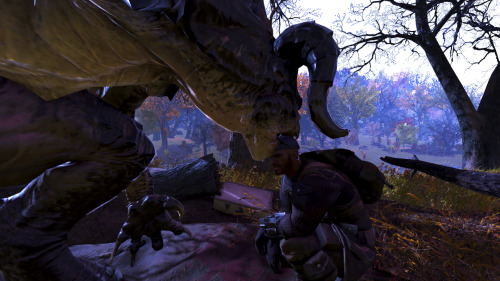A deathclaw noms gently <3Also featuring my fresh 2nd char, a BoS boy, cos exploring future BoS c