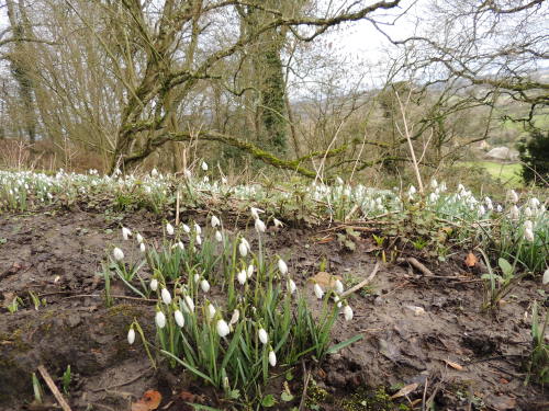 cadbury castle 2/8 - the believed site of camelot