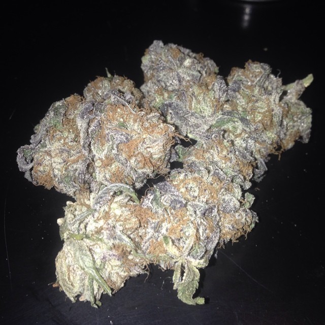 Who needs love when you got drugs 