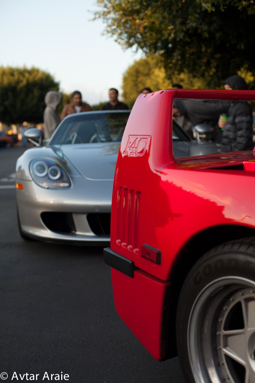 fairplayfotography:  Decisions Decisions 
