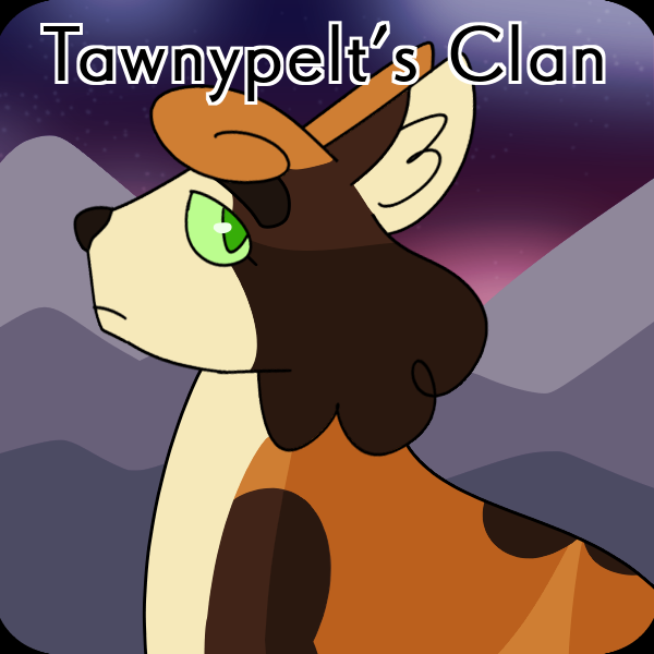 [Image Descriptions: Three digital drawings of the characters Tall Shadow, Tawnypelt, and Redtail from the Warrior Cats 