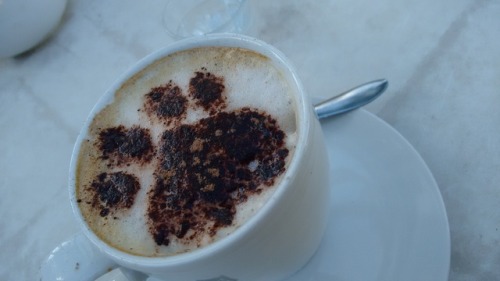 Sometimes all you need is a paw and a cup of coffee or maybe both together.