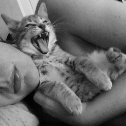 powmacwizalord:Neville yawns.